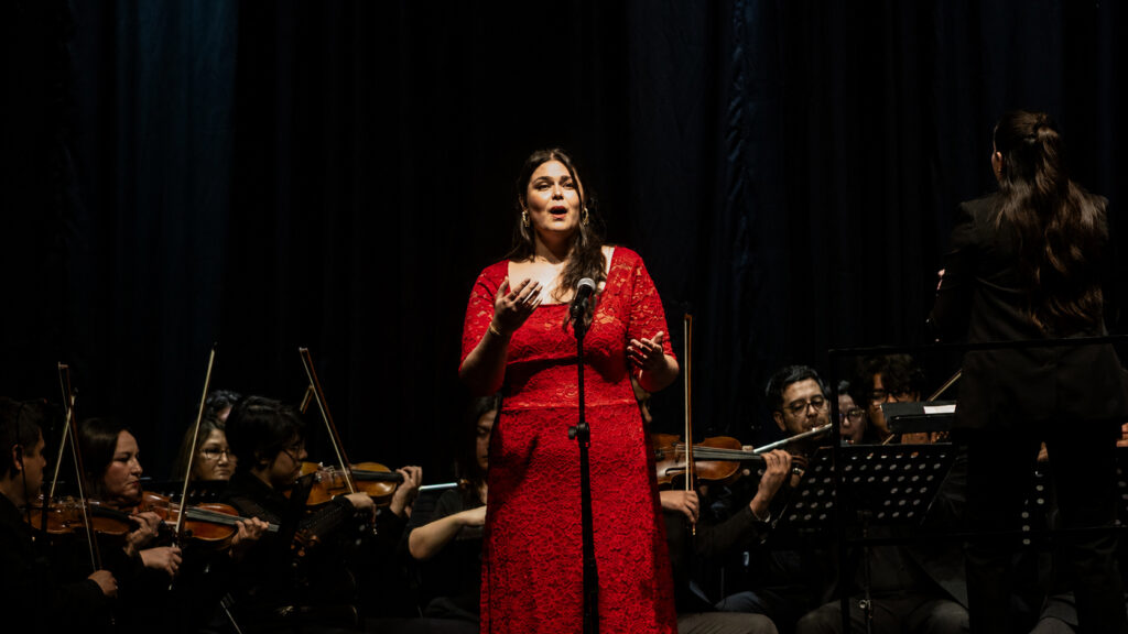 Obra “Carolina la eterna enmascarada”